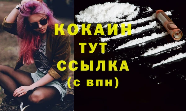 сатива Абаза