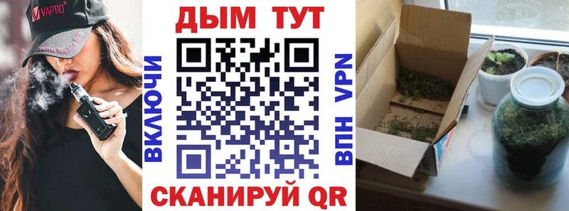 Бошки Шишки индика  Шиханы 